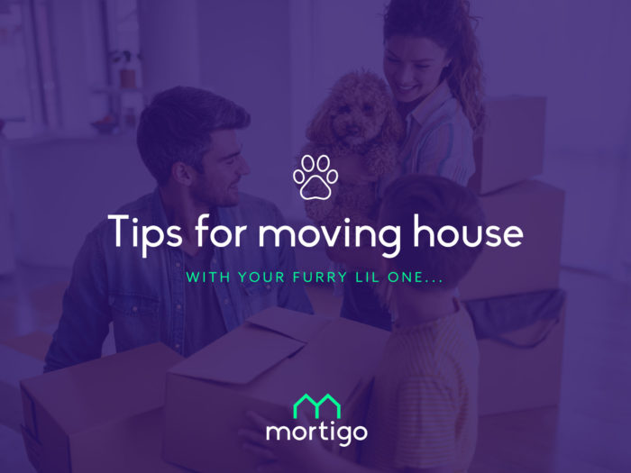 Moving-with-Pets-2 tips for moving home with pets