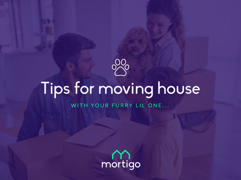 tips for moving home with pets