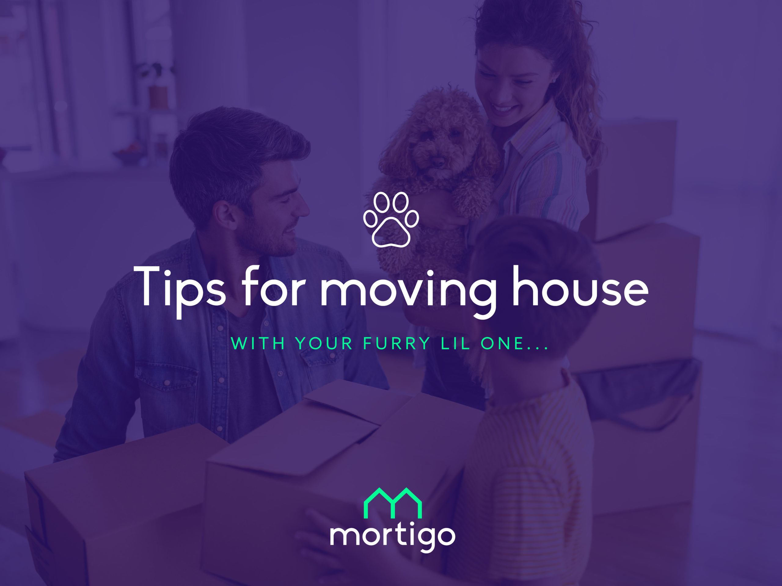 tips for moving home with pets
